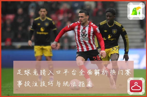 足球竞猜入口平台全面解析热门赛事投注技巧与玩法指南