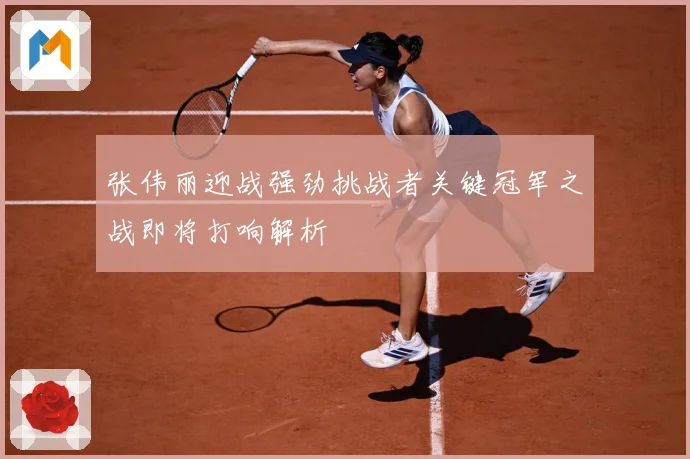 张伟丽迎战强劲挑战者关键冠军之战即将打响解析
