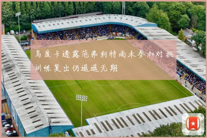 乌度卡透露范弗利特尚未参加对抗训练复出仍遥遥无期