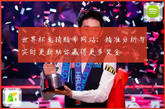 世界杯竞猜赔率网站：精准分析与实时更新助你赢得更多奖金