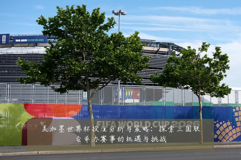 美加墨世界杯投注分析与策略：探索三国联合举办赛事的机遇与挑战