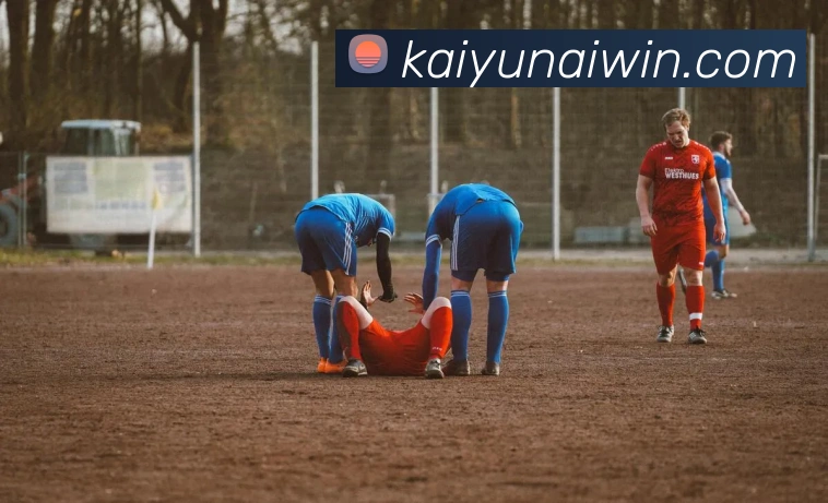 开云平台展示图